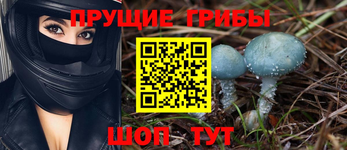 Галлюциногенные грибы Psilocybe  Вход с VPN  Сегежа 